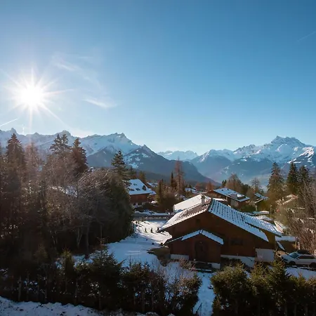 Le Mont Blanc By Interhome Apartment Chesieres