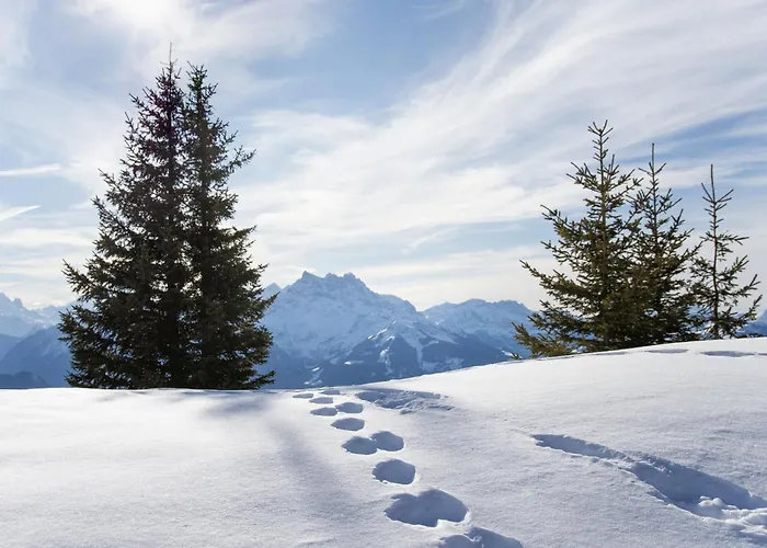 Le Mont Blanc 14 By Interhome *