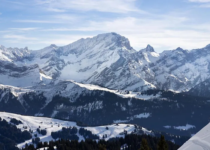 Le Mont Blanc 14 By Interhome * Chesières