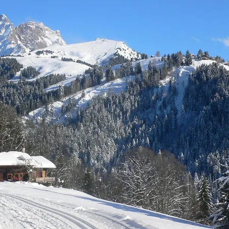 Appartement Le Mont Blanc 14 By Interhome Chesières