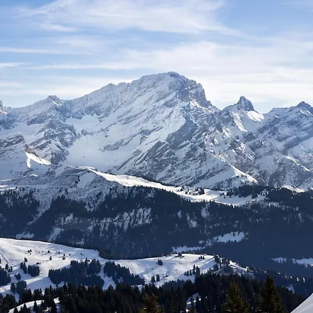 Le Mont Blanc 14 By Interhome * Chesières