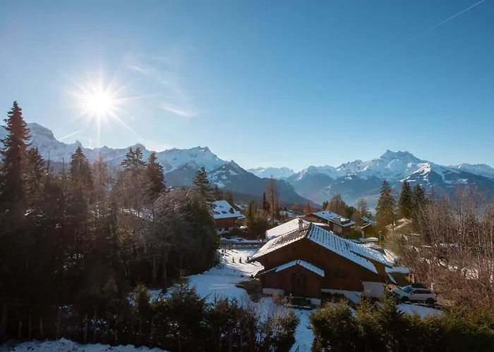 Le Mont Blanc 14 By Interhome Appartamento Chesières